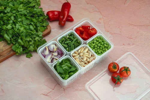 Plastic Fridge Container - 6 compartments