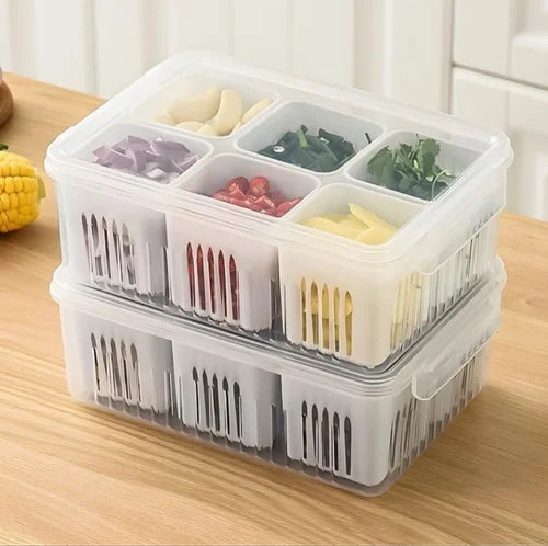 Plastic Fridge Container - 6 compartments
