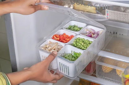 Plastic Fridge Container - 6 compartments