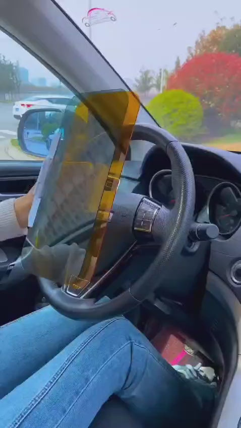 Interior visor